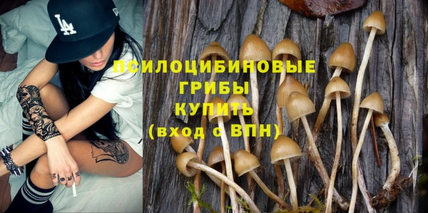 мет Баксан