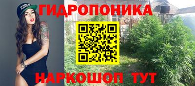 спиды Владивосток