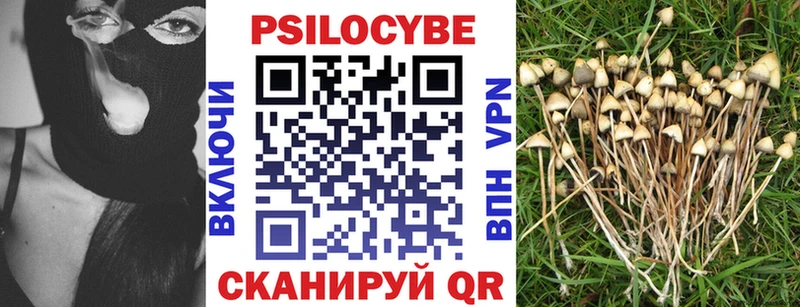 купить наркотик  Белогорск  Галлюциногенные грибы MAGIC MUSHROOMS 