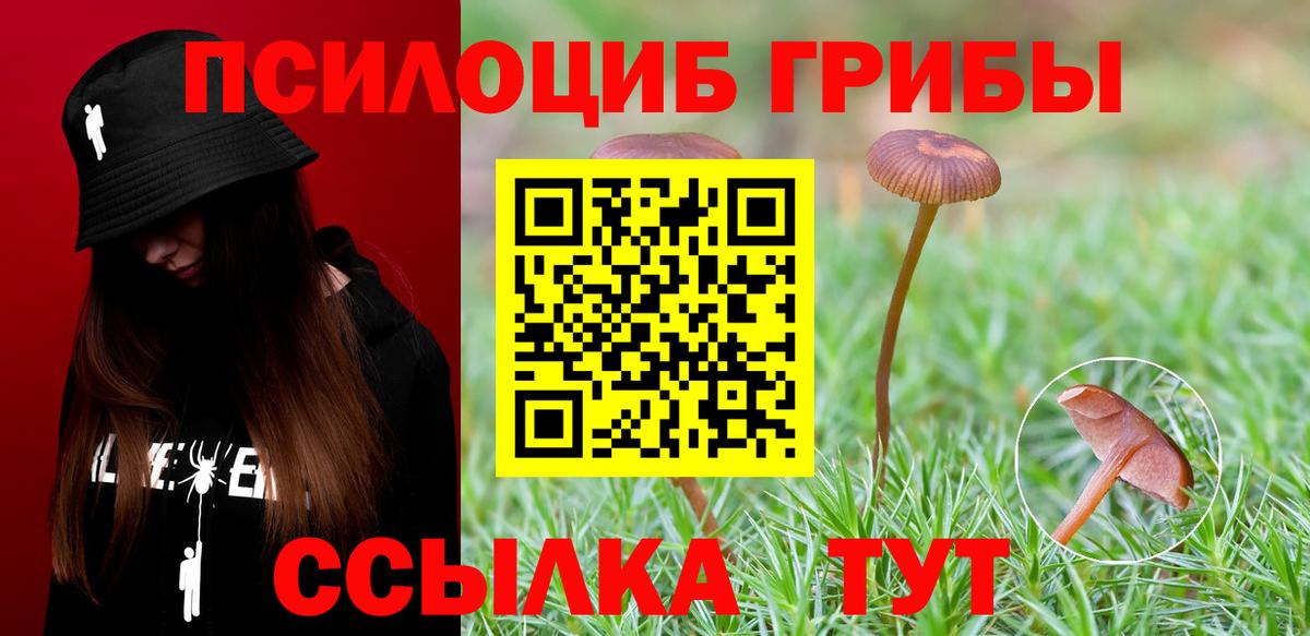 Псилоцибиновые грибы мицелий  Вход с VPN  Белогорск 
